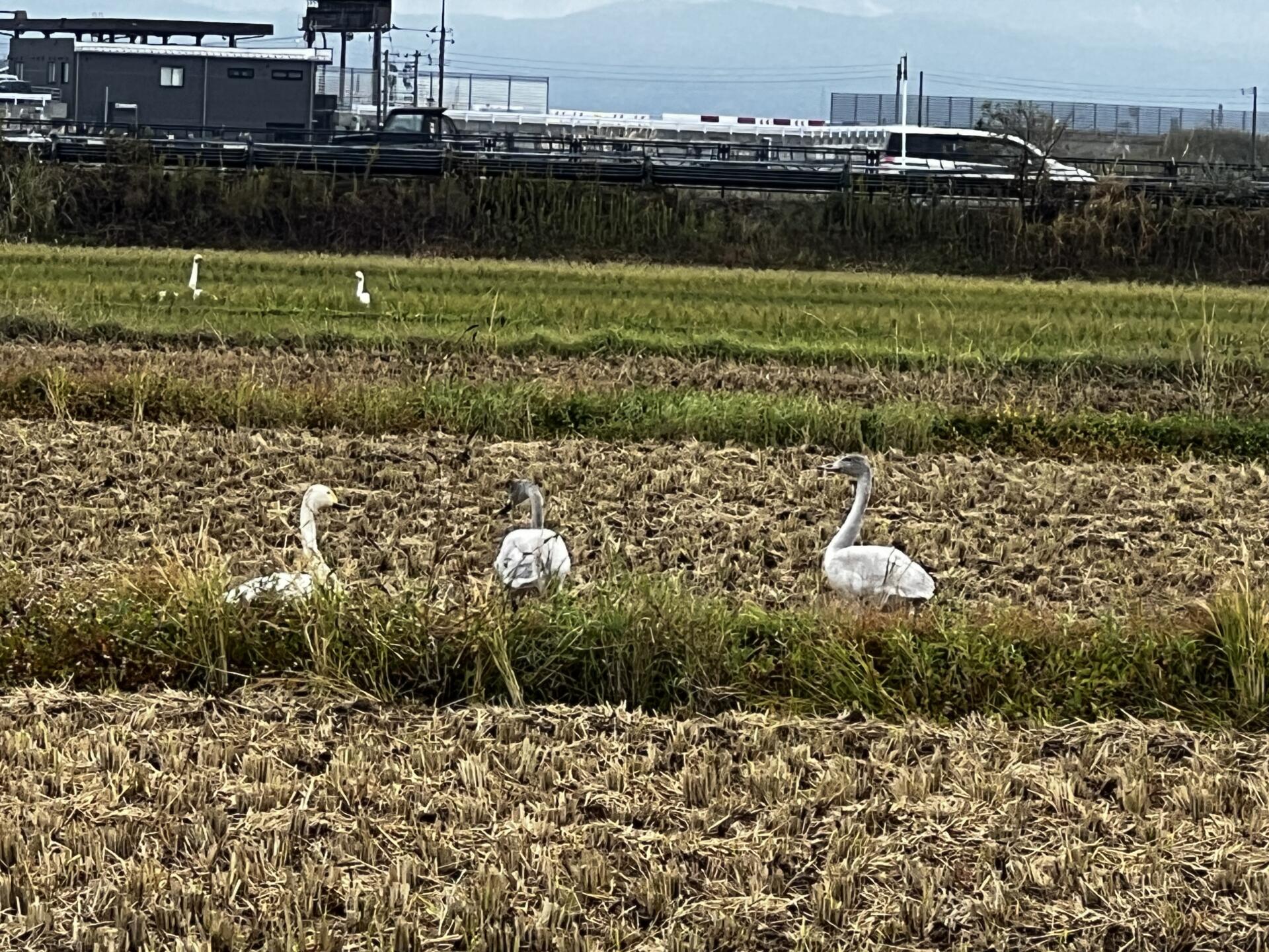 さぁ〜来年へ向け💪