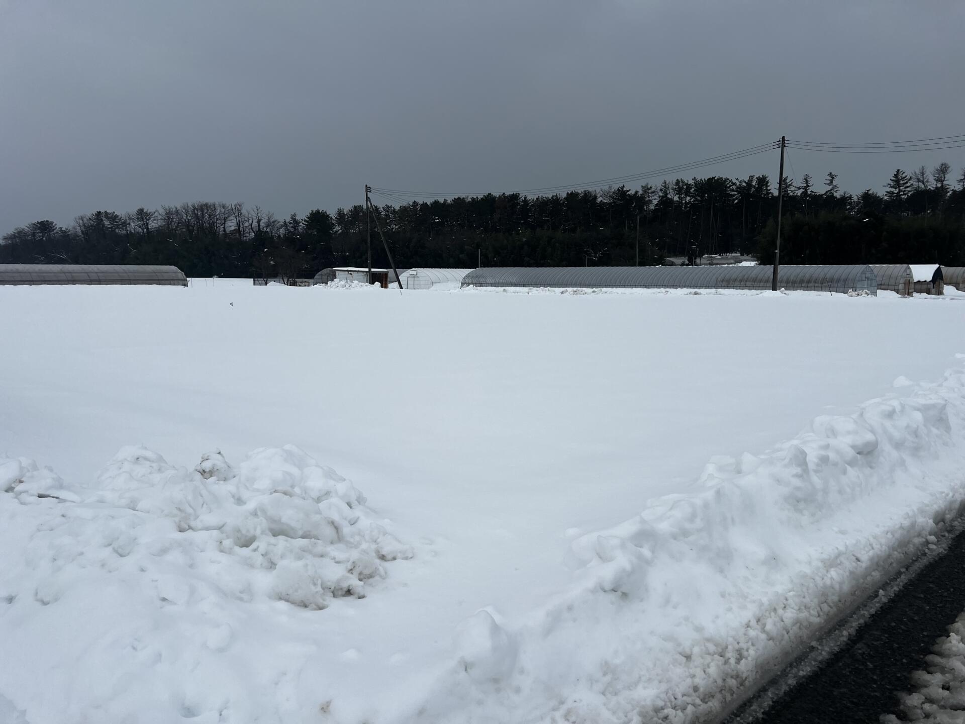 ☃️どかっと降りました