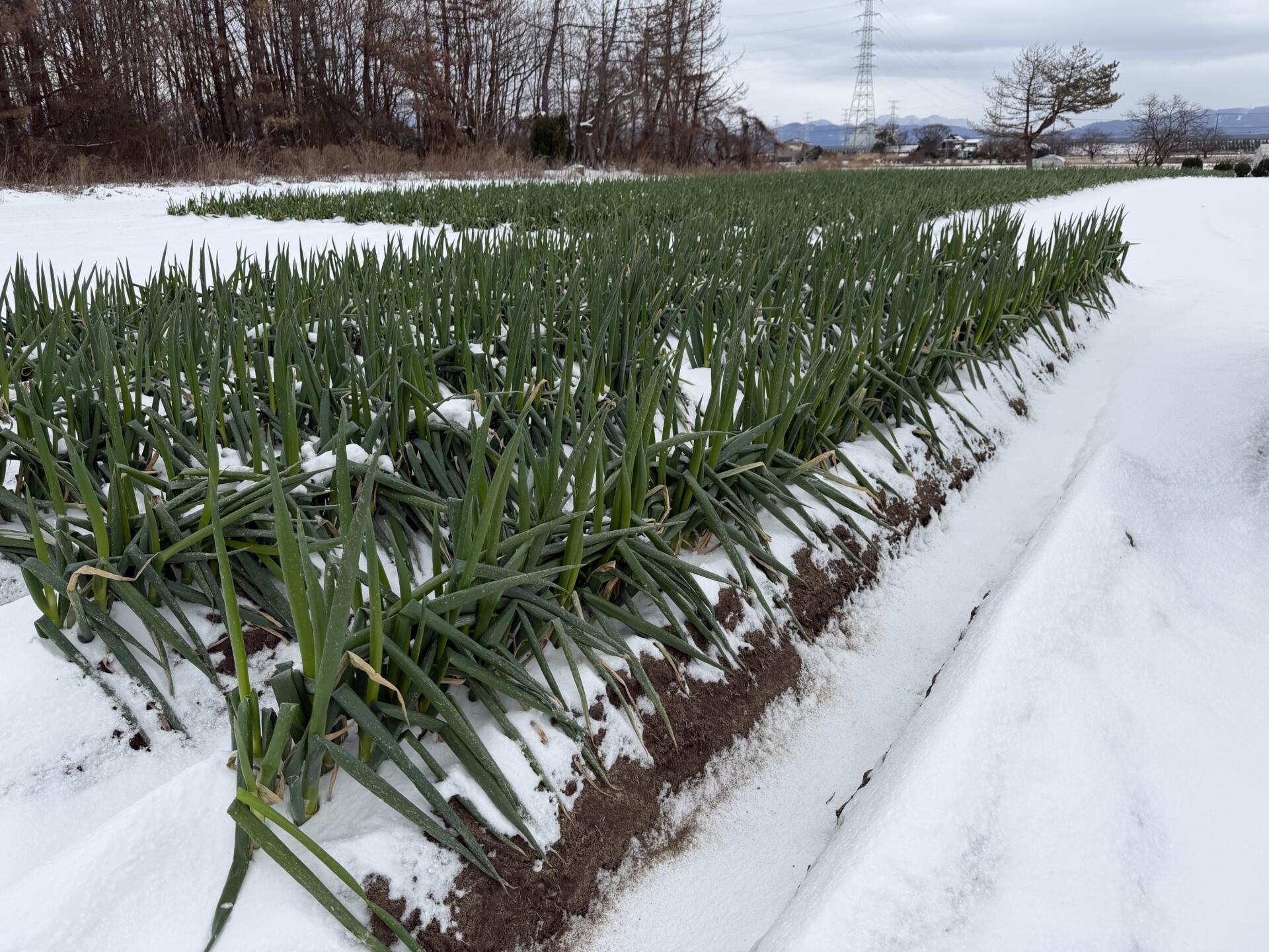 新たな年を迎え…振り返り
